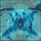 Cas N°10