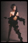 IMG0010.png