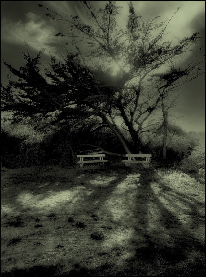 Les bancs des amoureux 